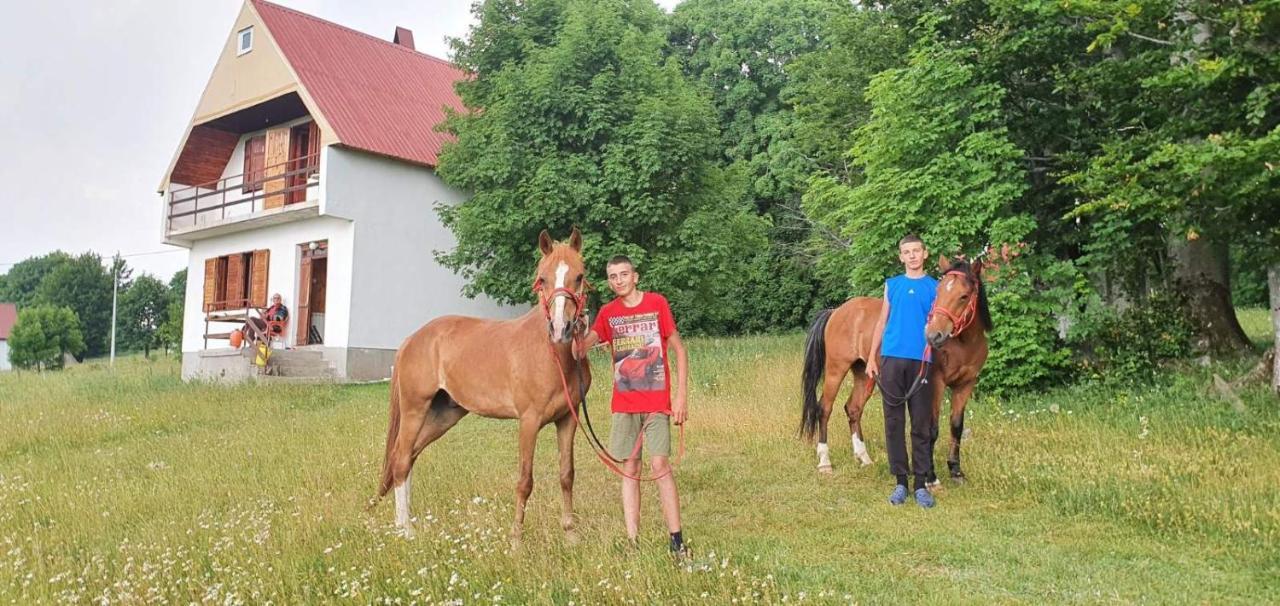 Villa Kolibri Žabljak Exterior foto